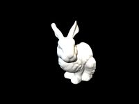 Webinar - Bunny