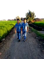 amir