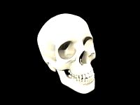 Skully 