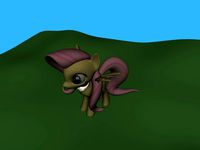 pony
