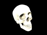 Skullis