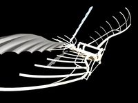 Leonardo Da Vinci - Flying Machine