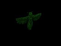 the MothMan