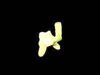 Echidna test with the NEW ENGINE!