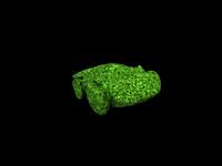 car with felni