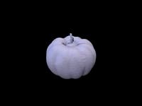 vampiry - Mr Pumpkinhead