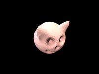 Budenz CatBot 6000