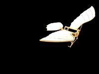 Leonardo Da Vinci - Flying Machine