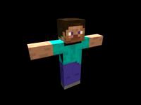 Steve Rig Test