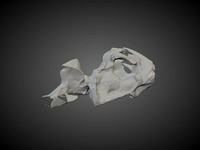 Smilodon