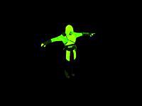 Neoninja