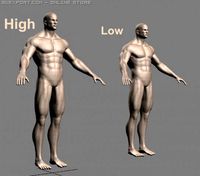 Athletic male + normal maps 3D Model