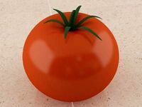 Tomato 3D Model