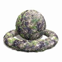 Seaweed and Barnacles Tile 3D Model