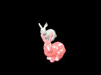 Webinar - Bunny
