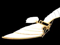Leonardo Da Vinci - Flying Machine