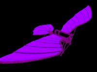 Leonardo Da Vinci - Flying Machine