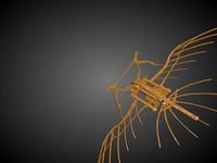 Leonardo Da Vinci - Flying Machine