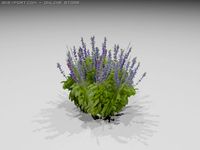 Plant 3D Model