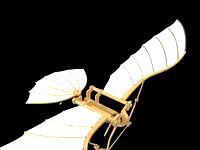 Leonardo Da Vinci - Flying Machine
