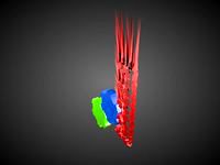 WebGL Node Animation (ThreeJS Example)