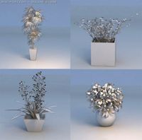 Flowers plant 3D Model