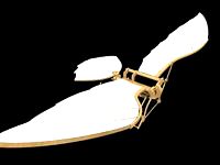 this thing can not fly