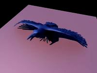 Raven