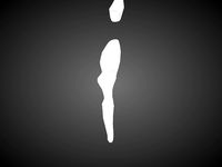 vagina