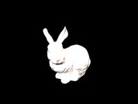 Webinar - Bunny
