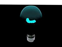 Light Blub - Mesh Light