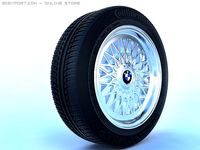 RIM 3D Model