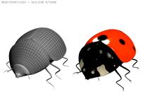 Ladybird 3D Model