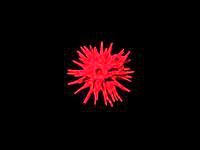 Metronome cutting into pieces