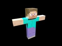 Steve Rig Test