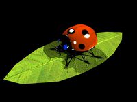 bug @@ hmmm online modeling testing xD