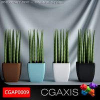 CGAXIS plant 09 3D Model