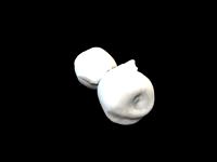 Eta Carinae Homunuculus Nebula