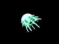 untiene cying full circle [1/29754]