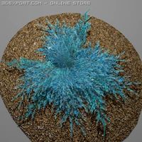 Juniperbluecarpet 3D Model