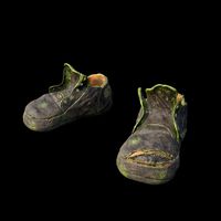 Boots Corona render scene and Substance Painter files