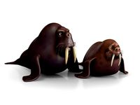 Cartoon Walrus Collection