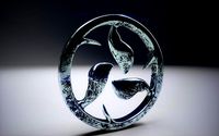 Mizu Aikido Dojo Emble