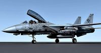Grumman F-14 Tomcat 3d model