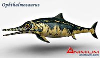 Ophthalmosaurus 3d model