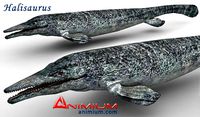 Halisaurus 3d model