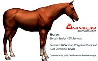 Horse 3d model – Zbrush Sculpt