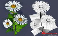 Flower 3d model