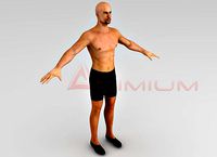 Human male 3d model