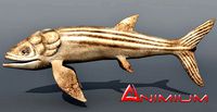 Leedsichthys 3d model